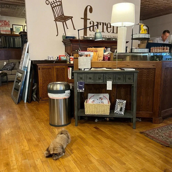 Betsy Adam Ruffled High Liw Mermaid Dress-Navy Blue, Size 4-Elegant, Stunning - Picture 12 of 13